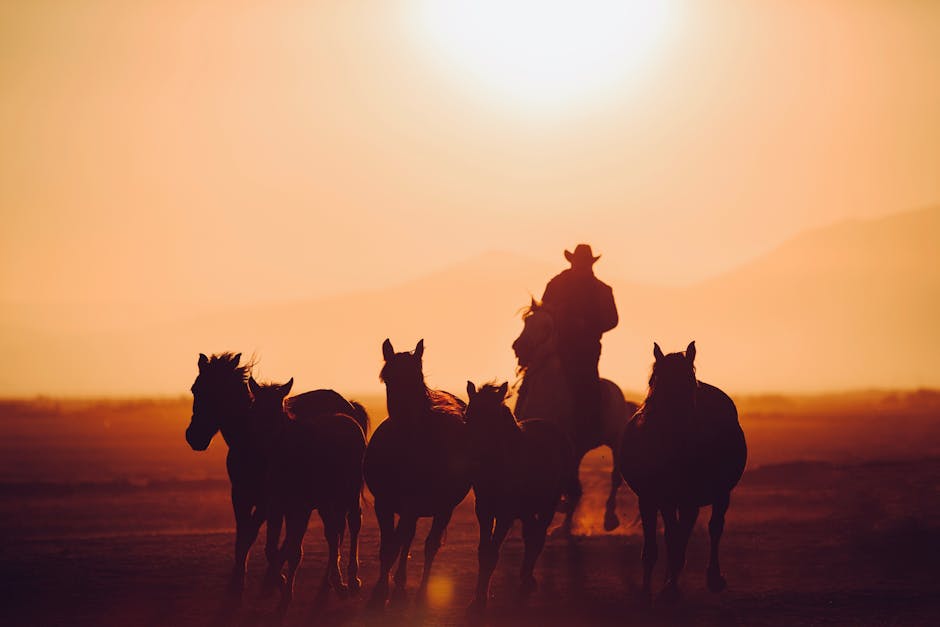 Epic Journeys in Adventure Novels