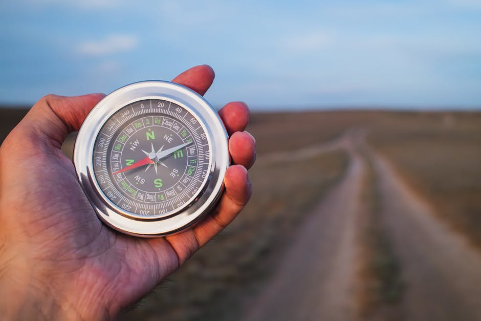 Navigating Ebooks: A Reader's Guide