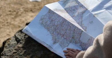 Navigating Ebooks: A Reader's Guide